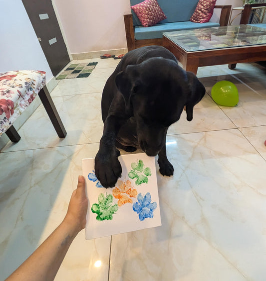 Creating memories with my pet on canvas