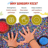 Sensory Discovery Kit | Dabble Sensory Rice + Sensory Play Dough